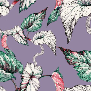 Coleus bitki ile Seamless Modeli