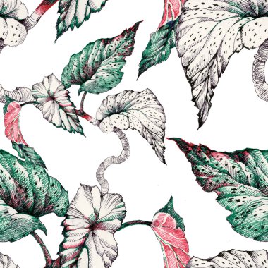 Seamless pattern with coleus plant clipart