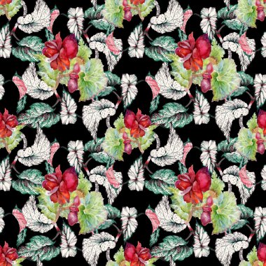 Coleus kırmızı çiçekler ile Seamless Modeli