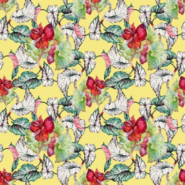 Coleus kırmızı çiçekler ile Seamless Modeli