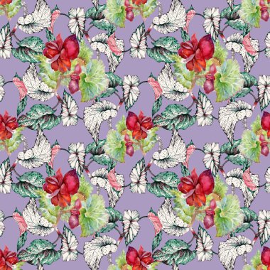 Coleus kırmızı çiçekler ile Seamless Modeli