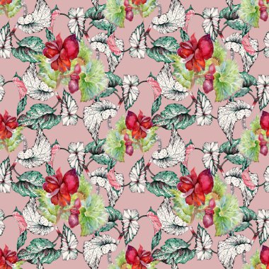 Coleus kırmızı çiçekler ile Seamless Modeli