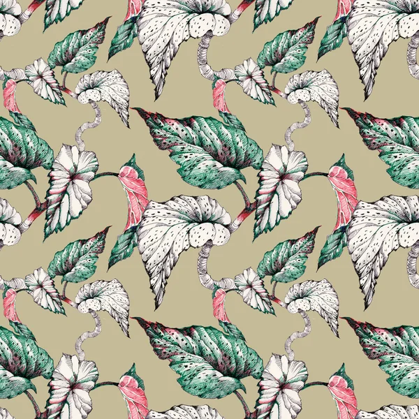 Seamless pattern with coleus plant
