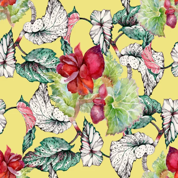 Seamless pattern with coleus red flowers — Stock Photo, Image