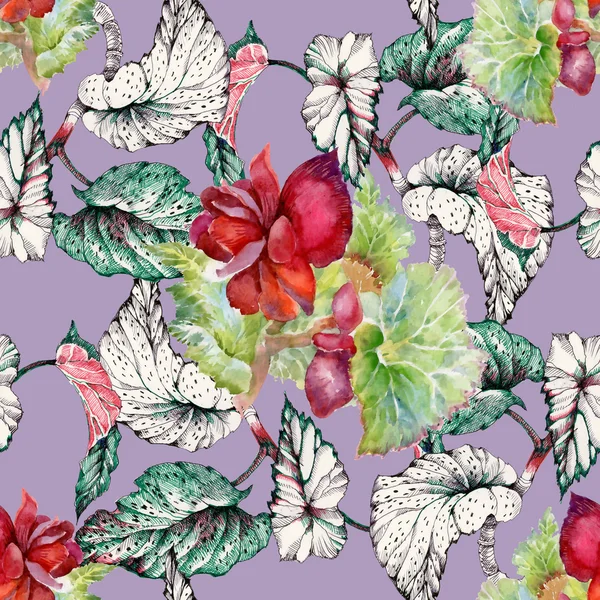 Naadloze patroon met coleus rode bloemen — Stockfoto