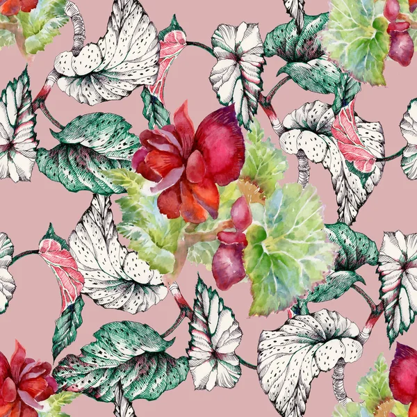 Seamless pattern with coleus red flowers — Stock Photo, Image