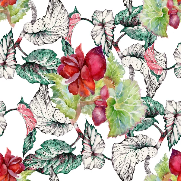 Seamless pattern with coleus red flowers