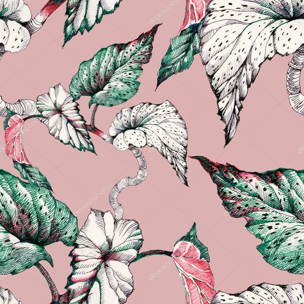 Seamless pattern with coleus plant