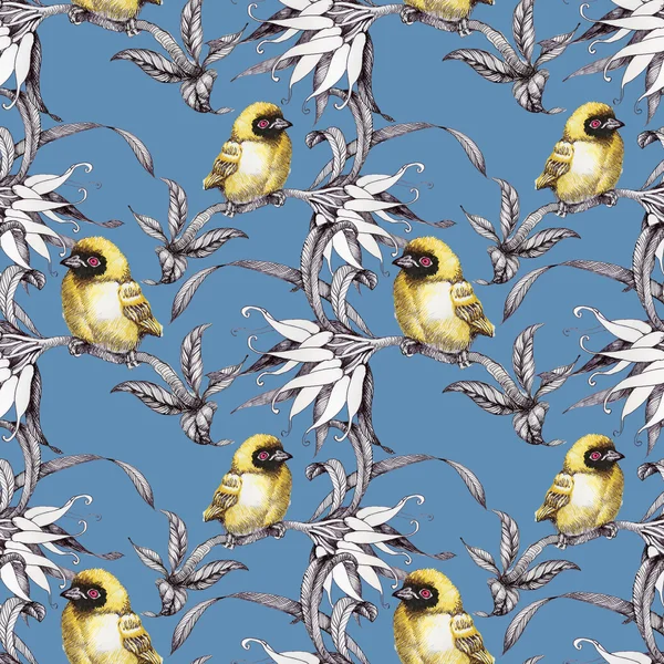 Wzór z ptaków na gałązki — Zdjęcie stockowe