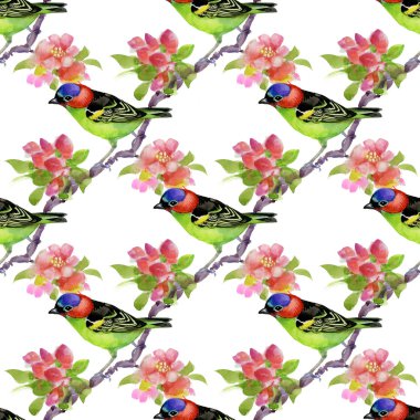 Çiçek açan ağaç dalı kuşlarda