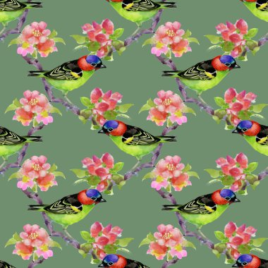 Çiçek açan ağaç dalı kuşlarda