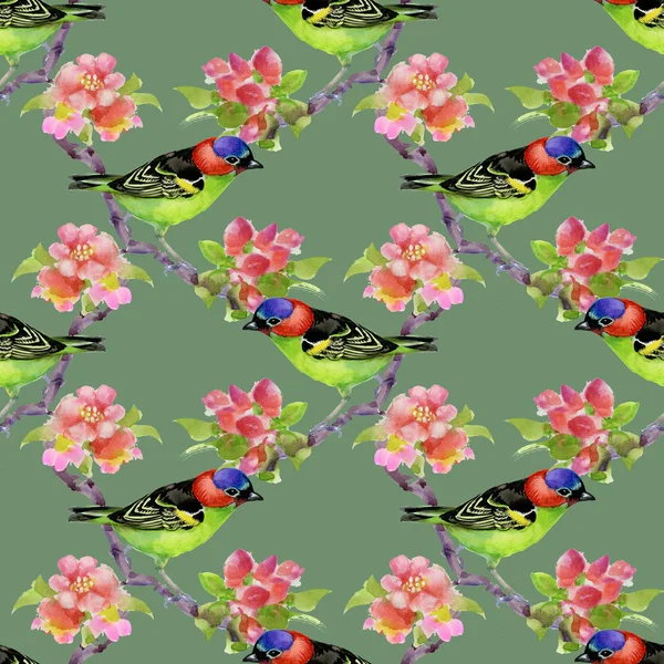 Fåglar på blommande trädgren — Stockfoto