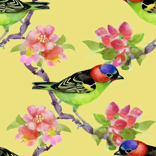 Bird on blooming tree branch — Stock Photo, Image