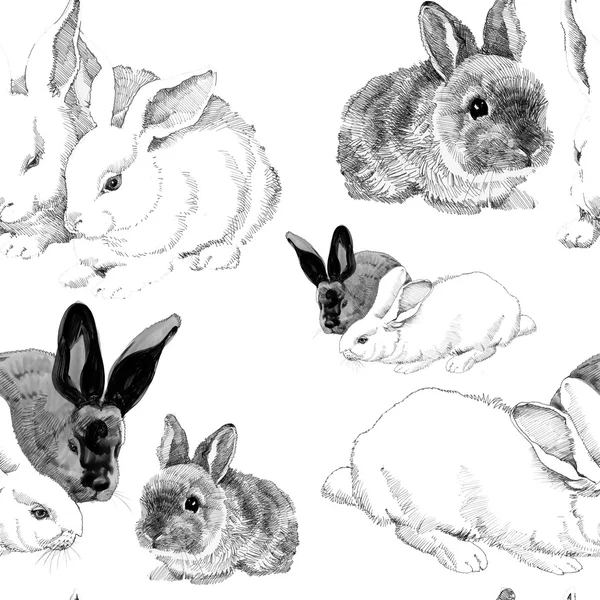 Sketched rabbits pattern — Stock Photo, Image