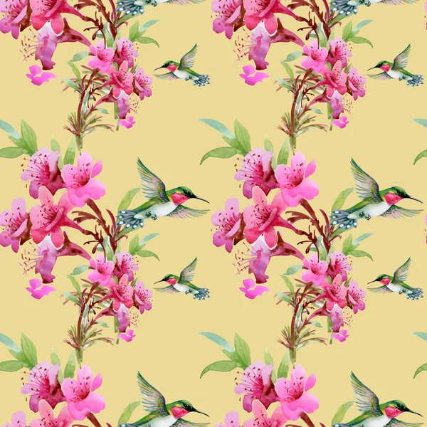 Kolibris und blühende Blumen — Stockfoto
