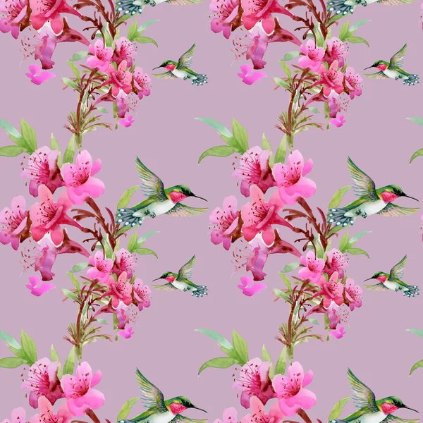 Колибри и цветущие цветы — стоковое фото