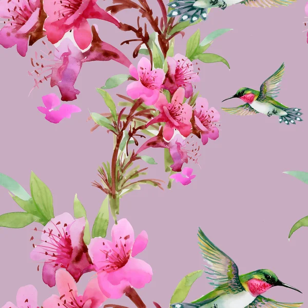 Zümmögés-madarak és a virágzó virágok — Stock Fotó