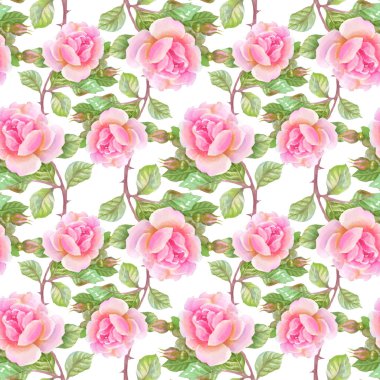 Bahçe çiçek açan gül çiçek