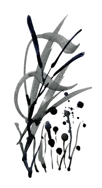 Εικονογράφηση μονόχρωμη βότανα — Φωτογραφία Αρχείου