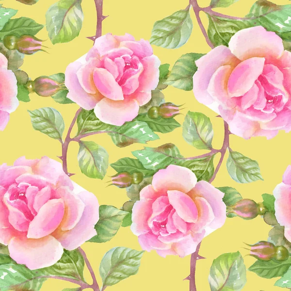 Tuin bloeiende Rozen bloemen — Stockfoto