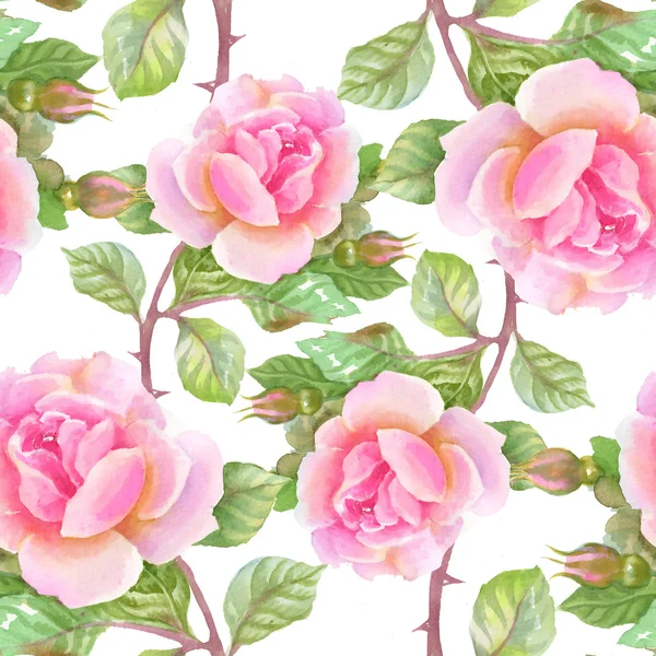 Flores rosas florescendo jardim — Fotografia de Stock