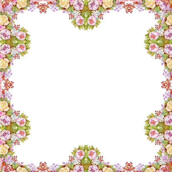 Blühende Rosen Blumen Rahmen — Stockfoto