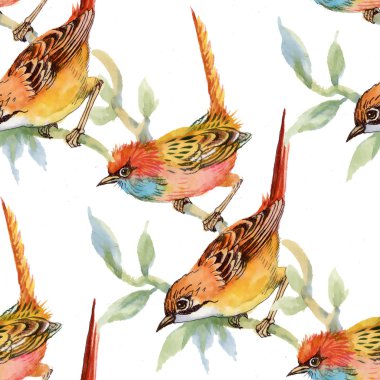 yabani kuşlar ve çiçekler