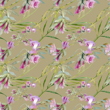 çiçek açan Bind ot tomurcukları