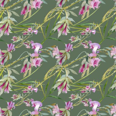 çiçek açan Bind ot tomurcukları