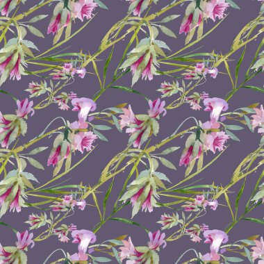 çiçek açan Bind ot tomurcukları