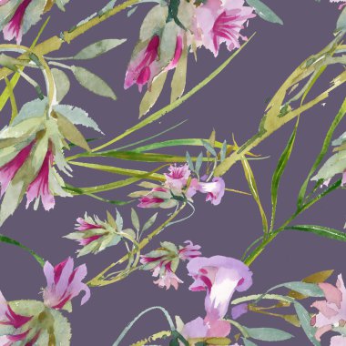 çiçek açan Bind ot tomurcukları