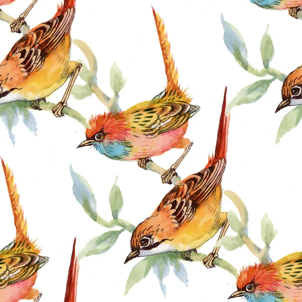 yabani kuşlar ve çiçekler