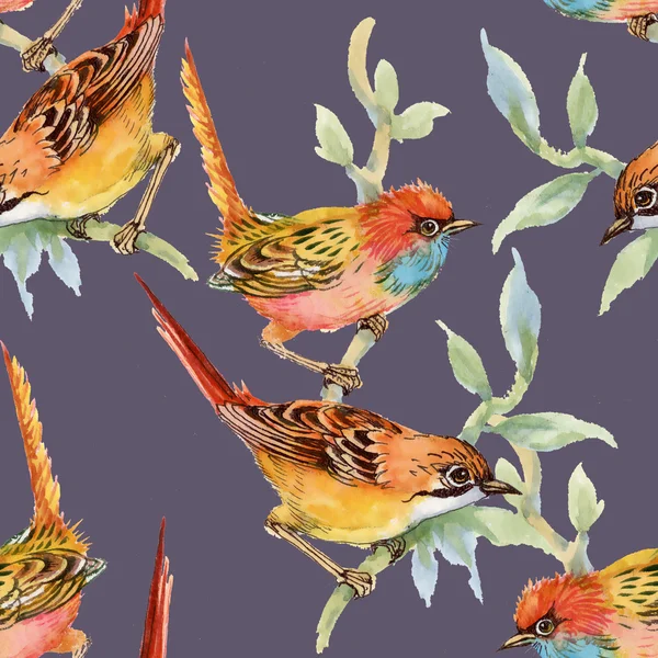 yabani kuşlar ve çiçekler