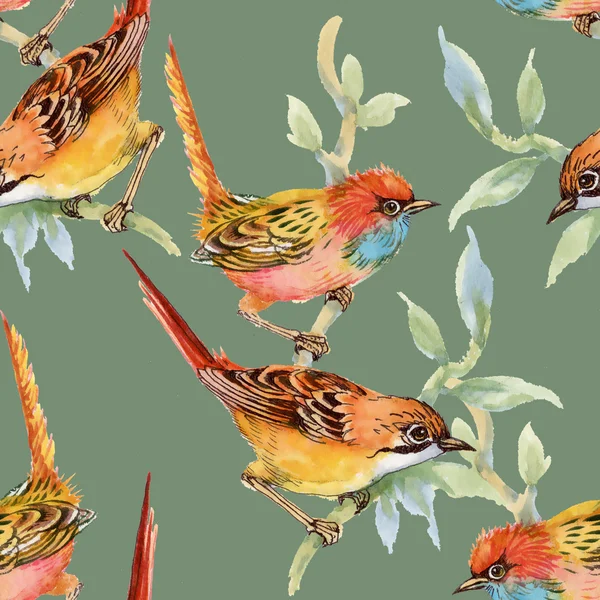 yabani kuşlar ve çiçekler