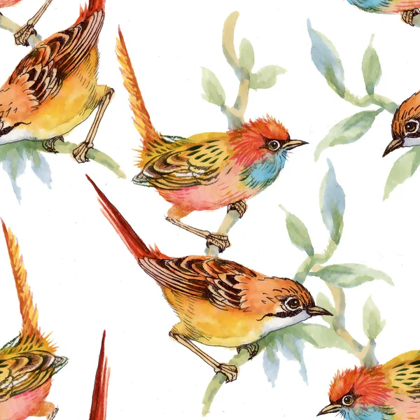 yabani kuşlar ve çiçekler