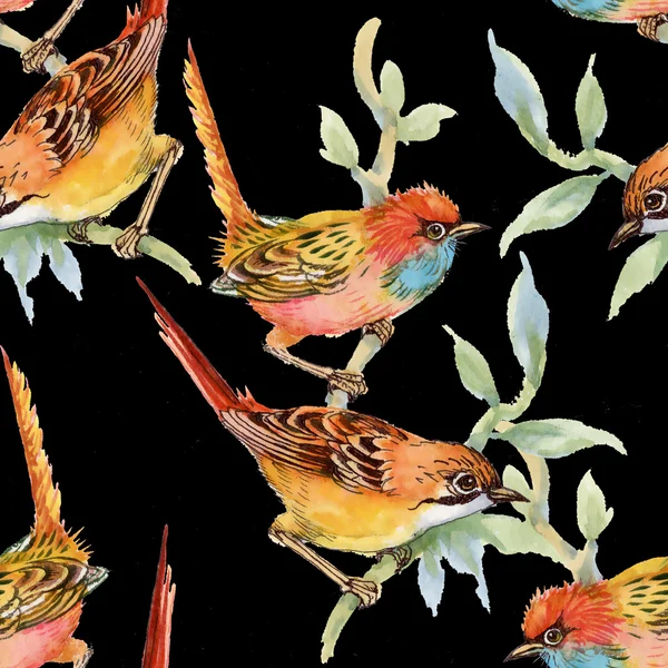 yabani kuşlar ve çiçekler