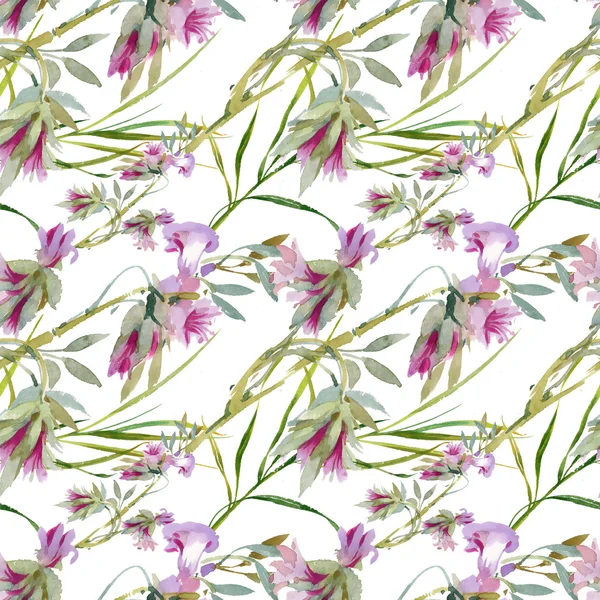 çiçek açan Bind ot tomurcukları