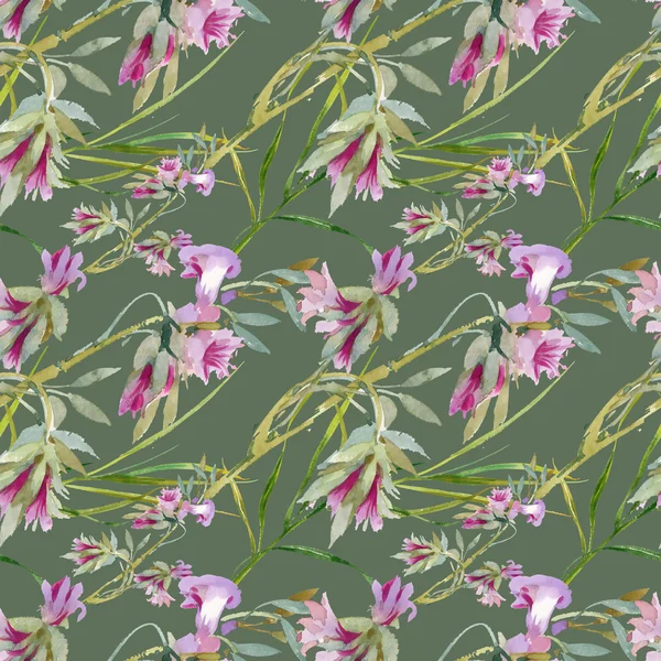 çiçek açan Bind ot tomurcukları