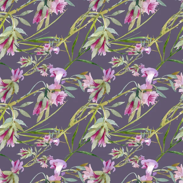 çiçek açan Bind ot tomurcukları