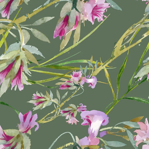 çiçek açan Bind ot tomurcukları