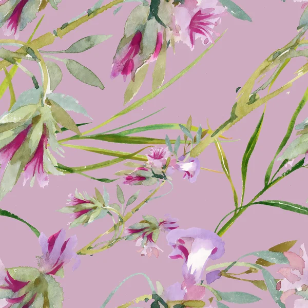 çiçek açan Bind ot tomurcukları