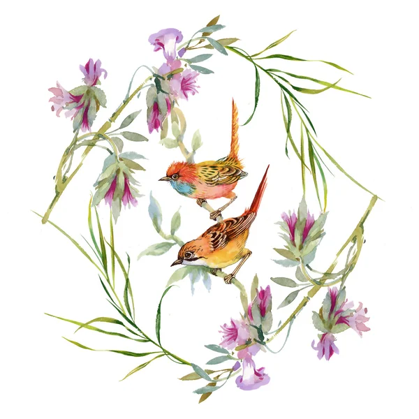 Dzikie ptaki i kwiaty — Zdjęcie stockowe