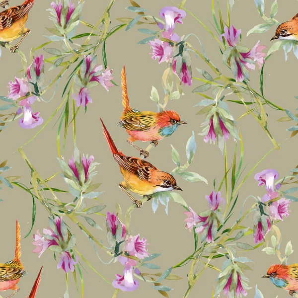 yabani kuşlar ve çiçekler