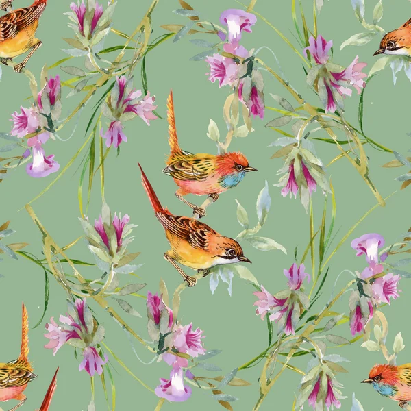 yabani kuşlar ve çiçekler