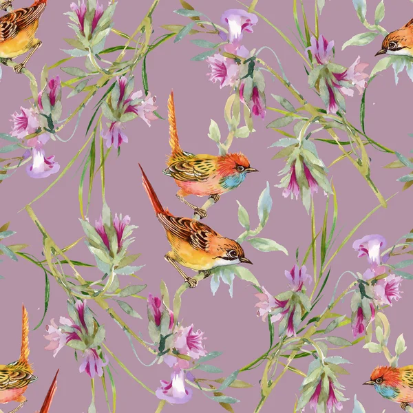 yabani kuşlar ve çiçekler