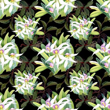 Orkide çiçek çiçeklenme