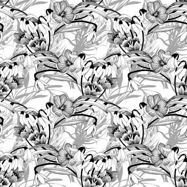 kabataslak kardelen çiçek