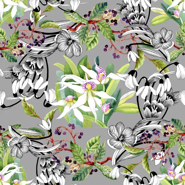 Gotas de neve e padrão de orquídeas florescentes — Fotografia de Stock