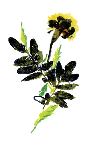 Hand drawn autumn herbs — Stock Photo, Image