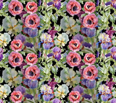 haşhaş çiçek çiçeklenme